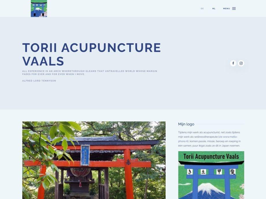 Torii_acupuncture_Vaals